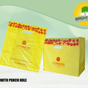 Hd Bag with Punch Hole